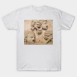 Four Expressions in Stone T-Shirt